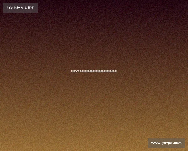 赛事dcas创新竞赛平台盛大开启期待全球英才共创数字化未来